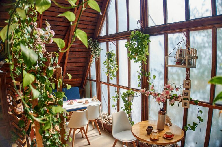 How to Refresh Your Home with Plants: Easy Tips for a Greener Space